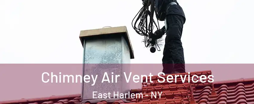 Chimney Air Vent Services East Harlem - NY