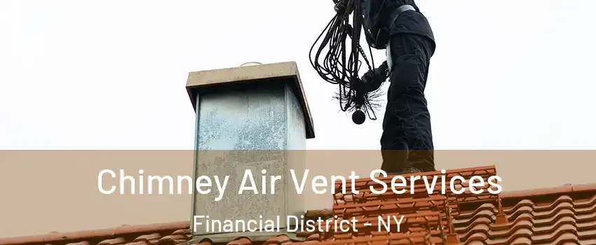 Chimney Air Vent Services Financial District - NY