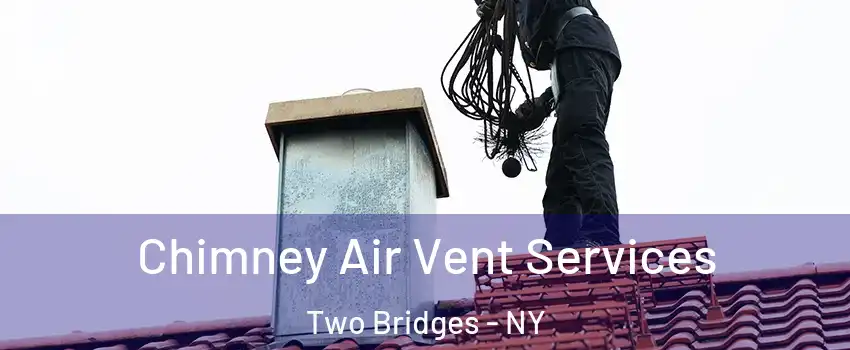 Chimney Air Vent Services Two Bridges - NY