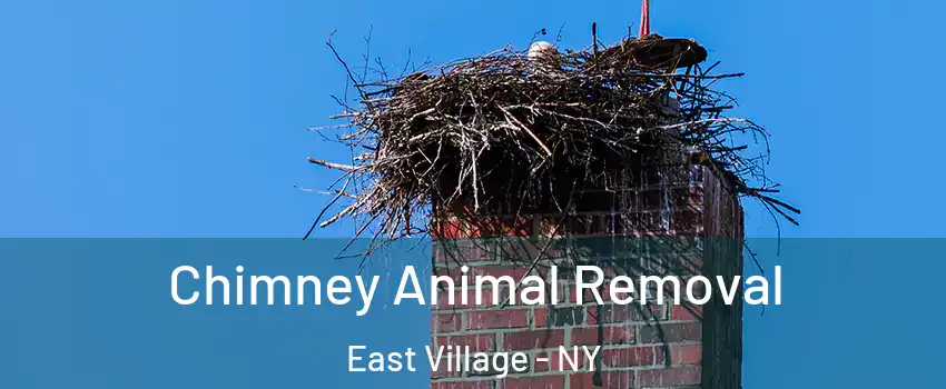 Chimney Animal Removal East Village - NY