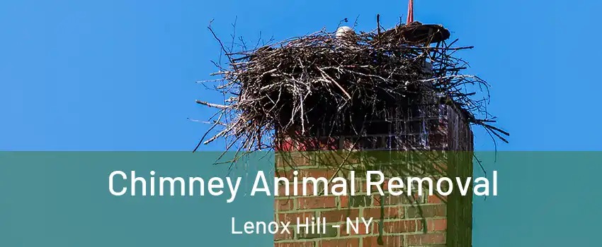 Chimney Animal Removal Lenox Hill - NY