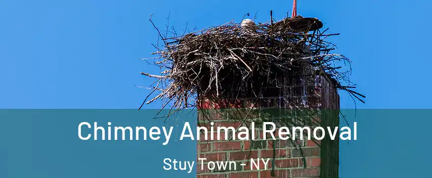 Chimney Animal Removal Stuy Town - NY