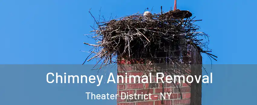 Chimney Animal Removal Theater District - NY