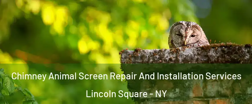 Chimney Animal Screen Repair And Installation Services Lincoln Square - NY