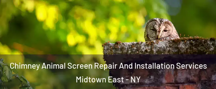 Chimney Animal Screen Repair And Installation Services Midtown East - NY