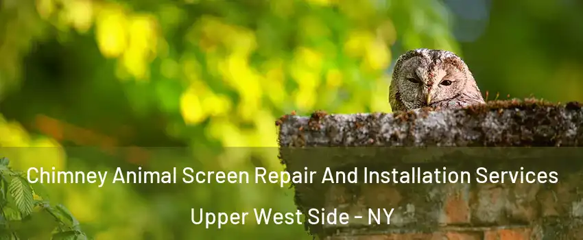 Chimney Animal Screen Repair And Installation Services Upper West Side - NY