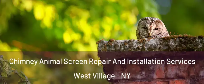 Chimney Animal Screen Repair And Installation Services West Village - NY