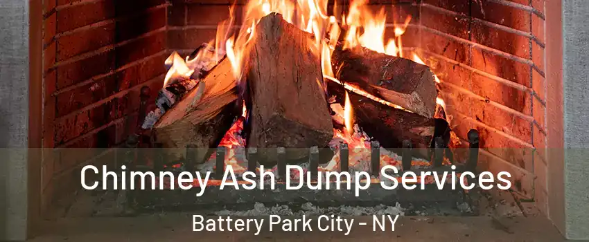 Chimney Ash Dump Services Battery Park City - NY