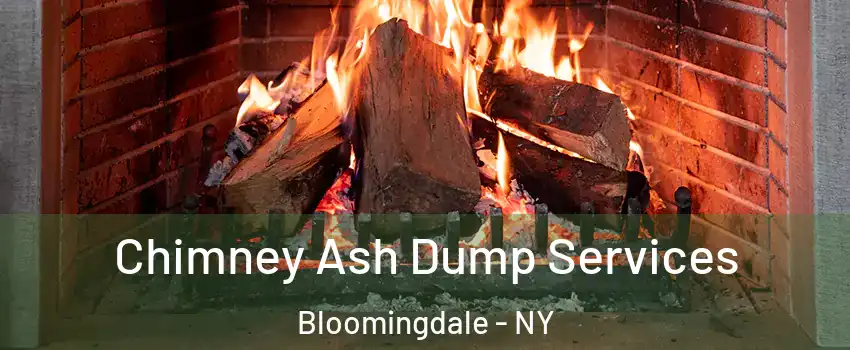 Chimney Ash Dump Services Bloomingdale - NY