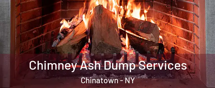 Chimney Ash Dump Services Chinatown - NY