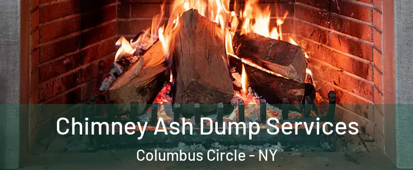 Chimney Ash Dump Services Columbus Circle - NY