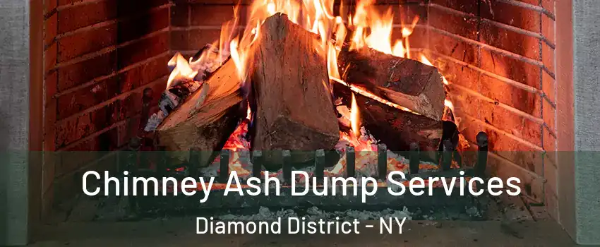 Chimney Ash Dump Services Diamond District - NY