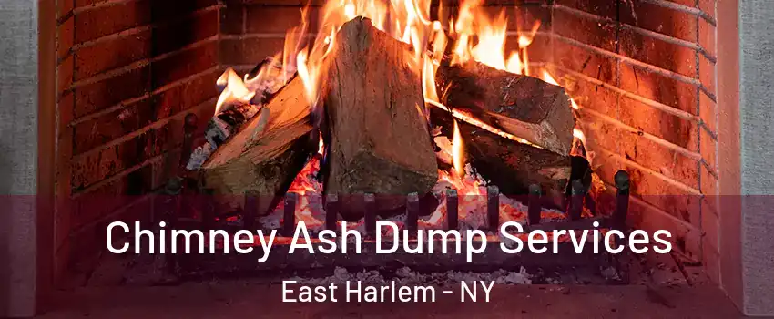 Chimney Ash Dump Services East Harlem - NY