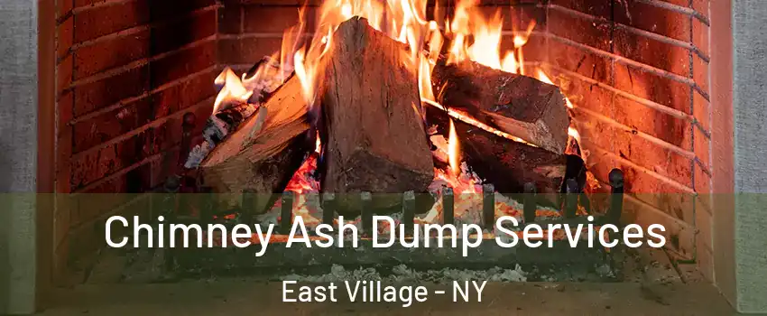 Chimney Ash Dump Services East Village - NY