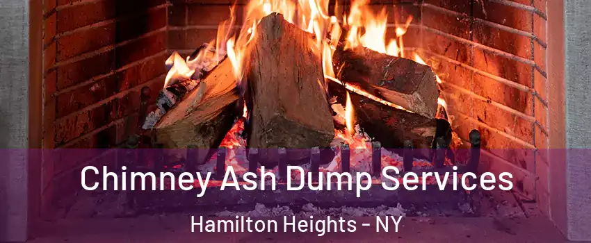 Chimney Ash Dump Services Hamilton Heights - NY