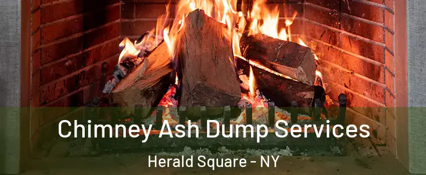 Chimney Ash Dump Services Herald Square - NY