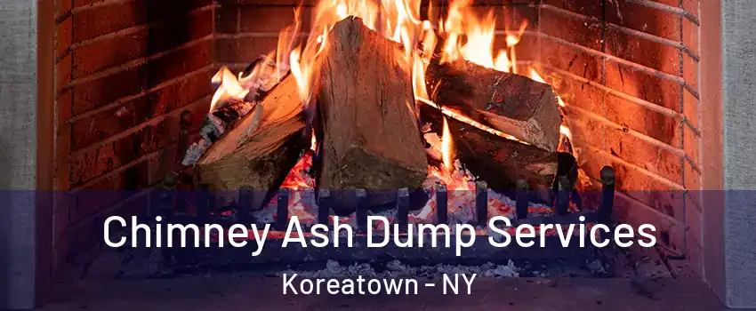 Chimney Ash Dump Services Koreatown - NY