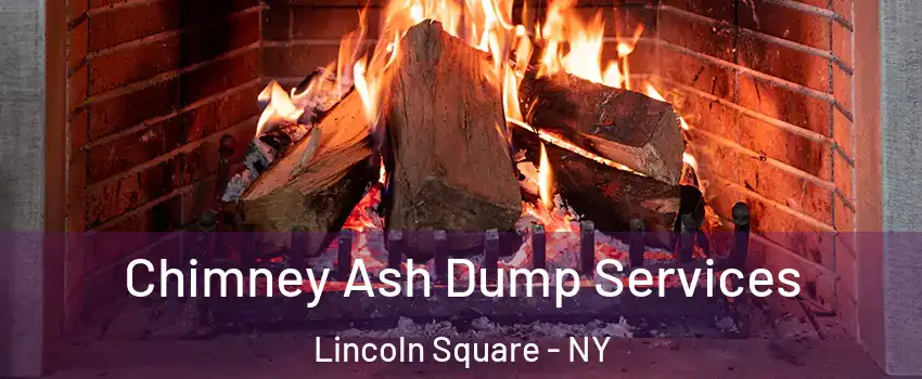 Chimney Ash Dump Services Lincoln Square - NY