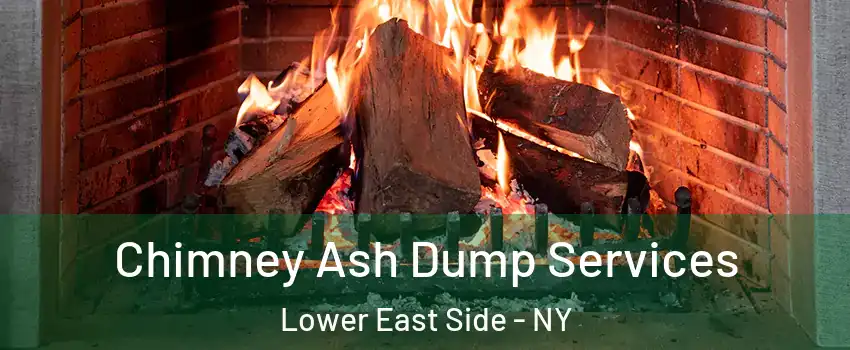 Chimney Ash Dump Services Lower East Side - NY