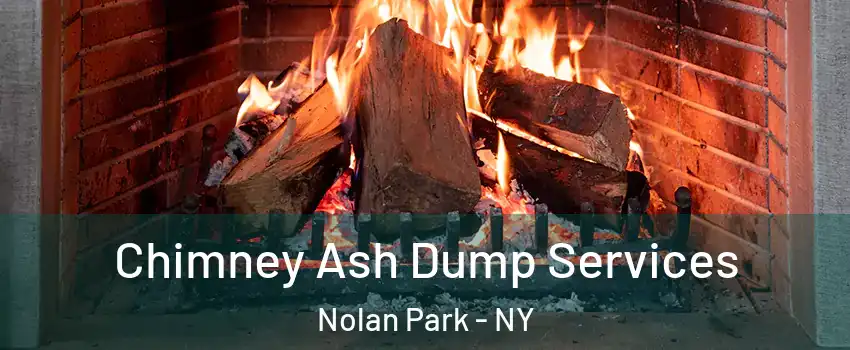 Chimney Ash Dump Services Nolan Park - NY