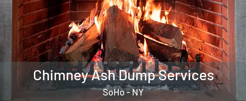 Chimney Ash Dump Services SoHo - NY