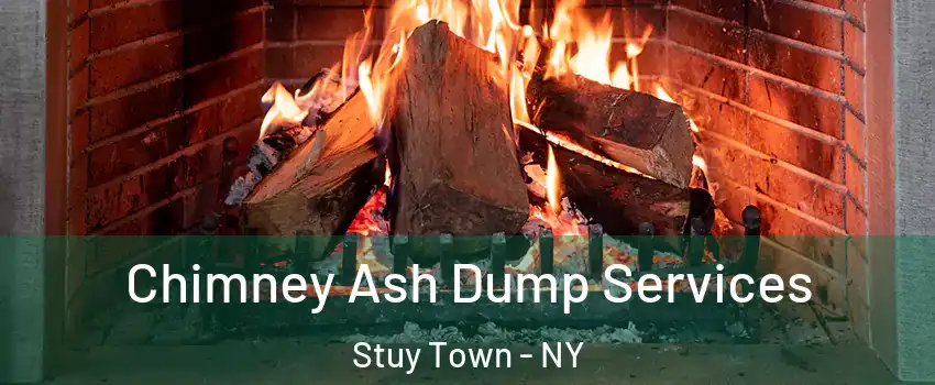 Chimney Ash Dump Services Stuy Town - NY