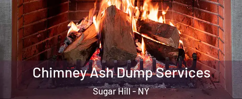 Chimney Ash Dump Services Sugar Hill - NY