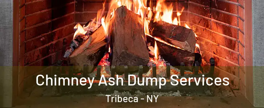 Chimney Ash Dump Services Tribeca - NY