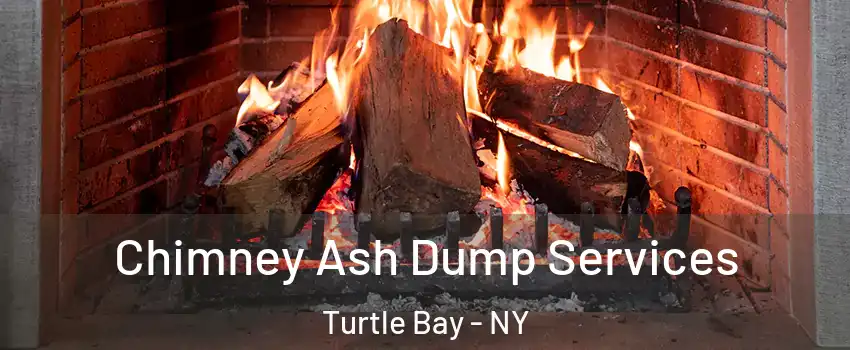 Chimney Ash Dump Services Turtle Bay - NY