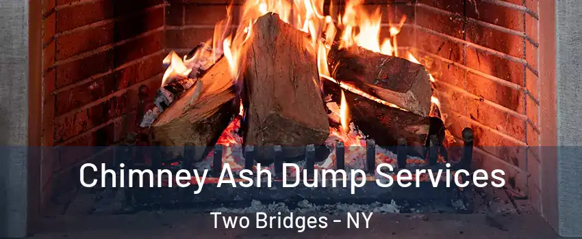 Chimney Ash Dump Services Two Bridges - NY