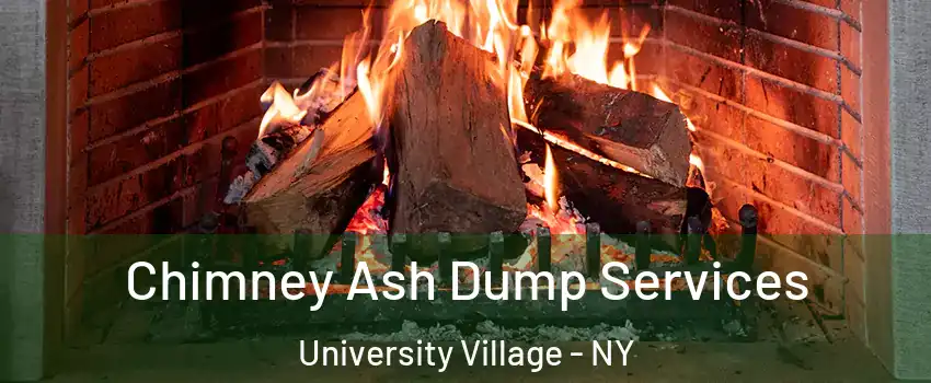 Chimney Ash Dump Services University Village - NY