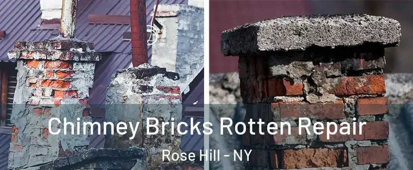 Chimney Bricks Rotten Repair Rose Hill - NY