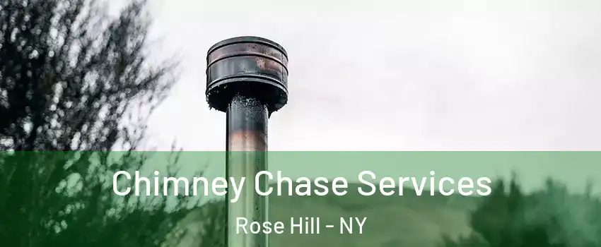 Chimney Chase Services Rose Hill - NY