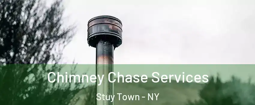 Chimney Chase Services Stuy Town - NY