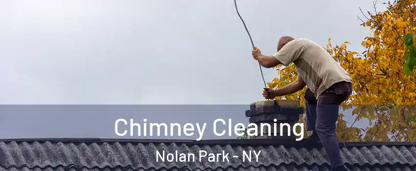 Chimney Cleaning Nolan Park - NY