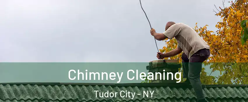 Chimney Cleaning Tudor City - NY