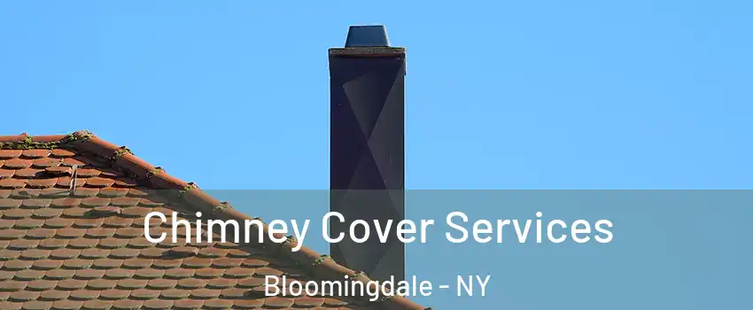 Chimney Cover Services Bloomingdale - NY