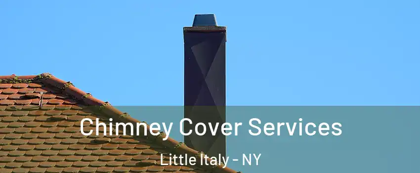 Chimney Cover Services Little Italy - NY