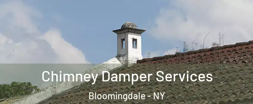 Chimney Damper Services Bloomingdale - NY