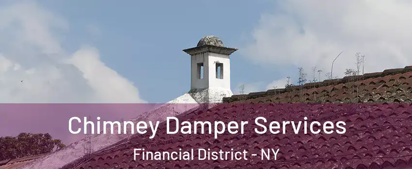 Chimney Damper Services Financial District - NY