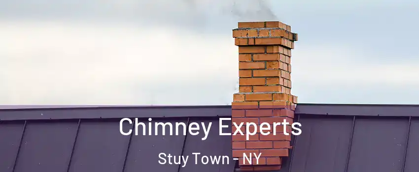 Chimney Experts Stuy Town - NY