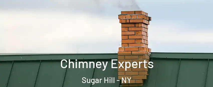 Chimney Experts Sugar Hill - NY