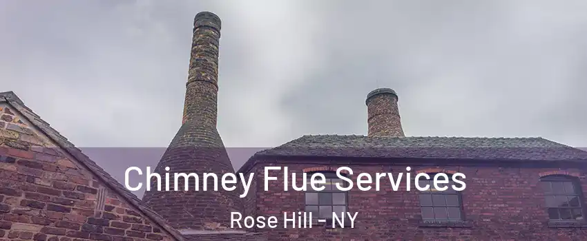 Chimney Flue Services Rose Hill - NY