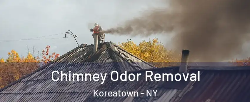 Chimney Odor Removal Koreatown - NY