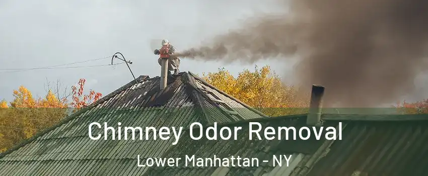 Chimney Odor Removal Lower Manhattan - NY