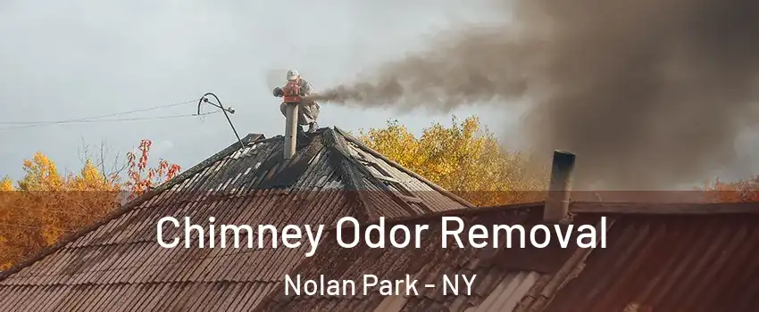 Chimney Odor Removal Nolan Park - NY