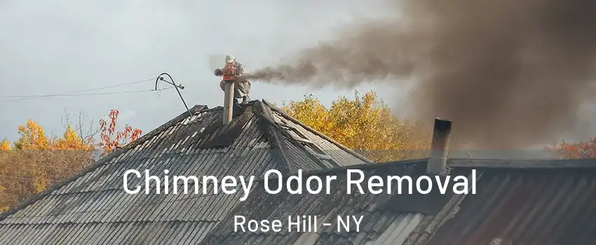 Chimney Odor Removal Rose Hill - NY