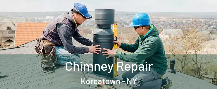 Chimney Repair Koreatown - NY