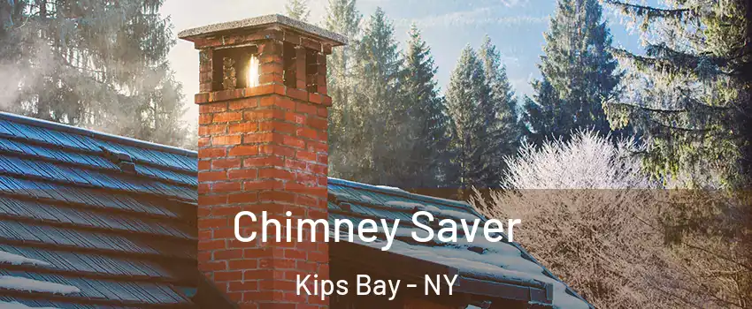 Chimney Saver Kips Bay - NY