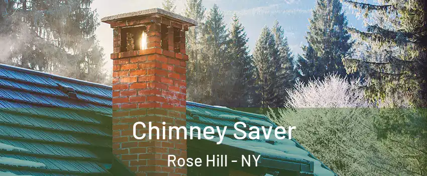 Chimney Saver Rose Hill - NY